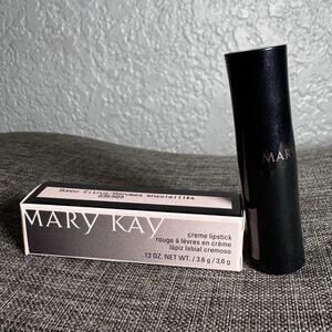 Mary Kay Creme Lipstick Sunny Citrus .13 oz Tube 035989 Discontinued Nos